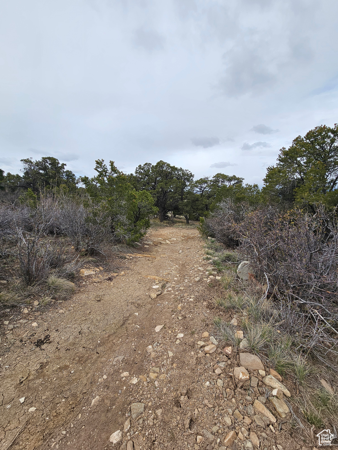 RIM ROCK RANCHES - Land