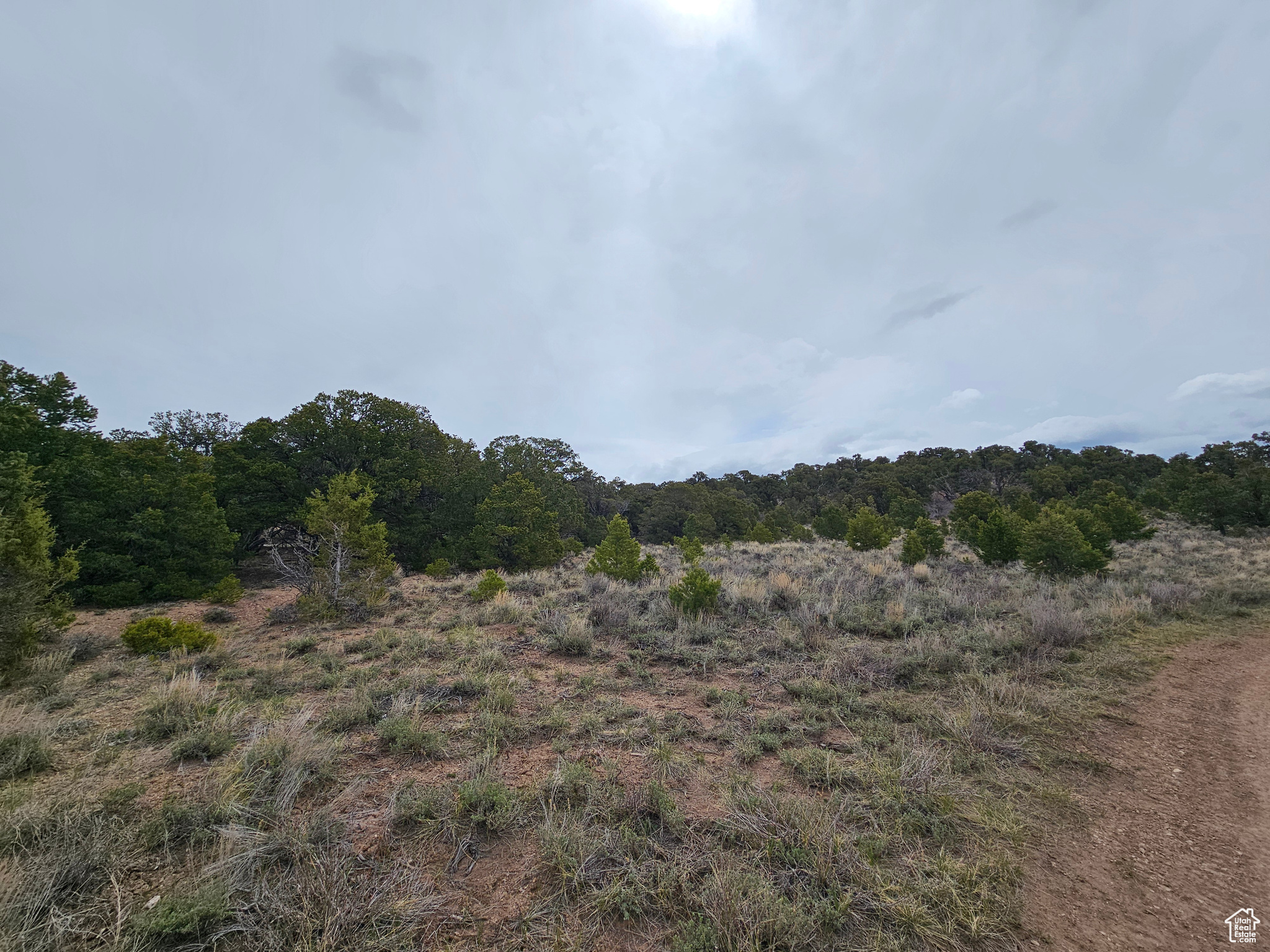 RIM ROCK RANCHES - Land