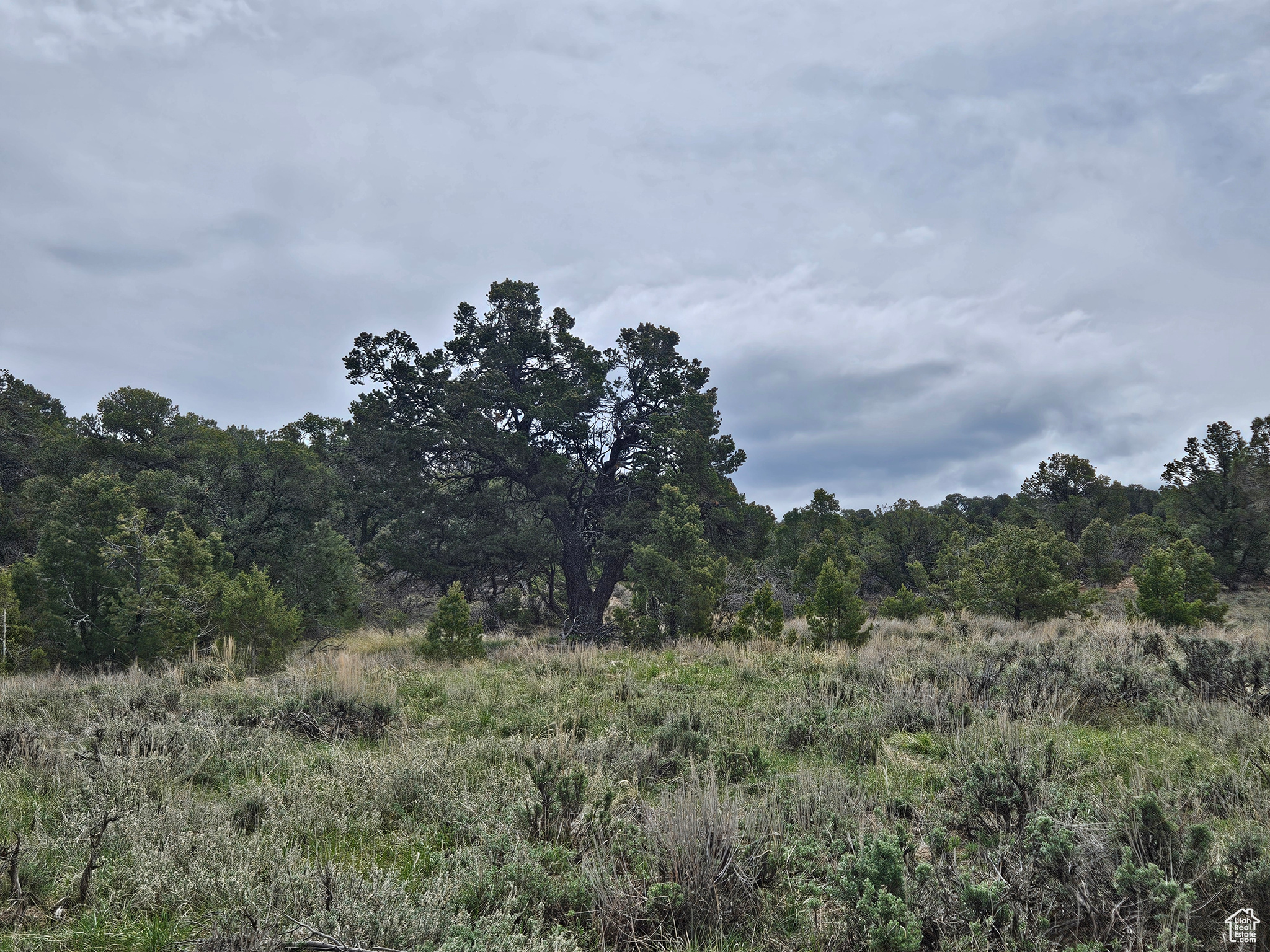 RIM ROCK RANCHES - Land