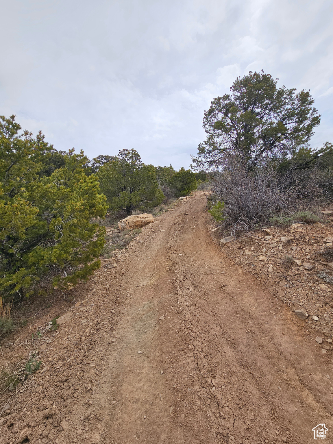 RIM ROCK RANCHES - Land