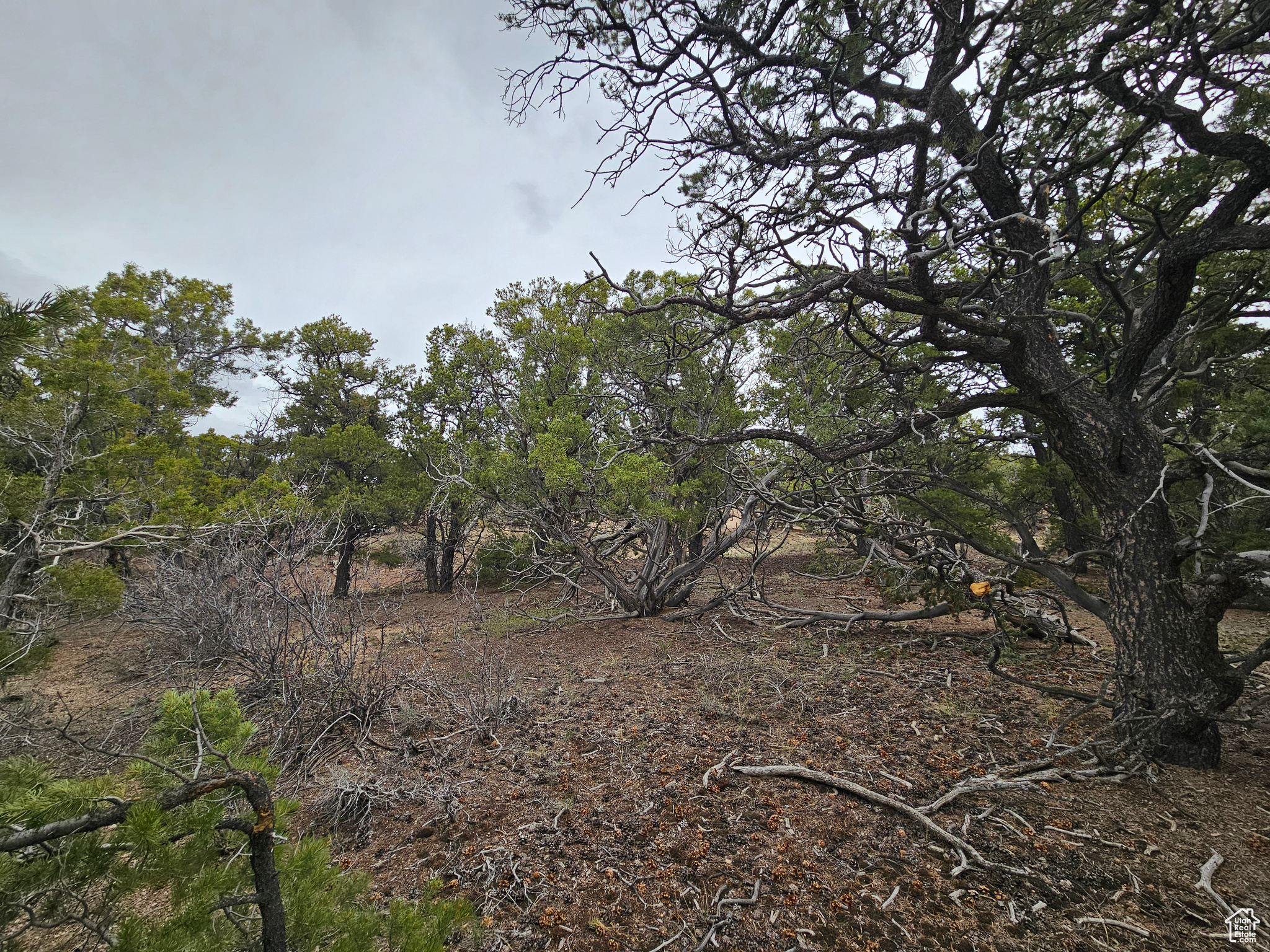 RIM ROCK RANCHES - Land