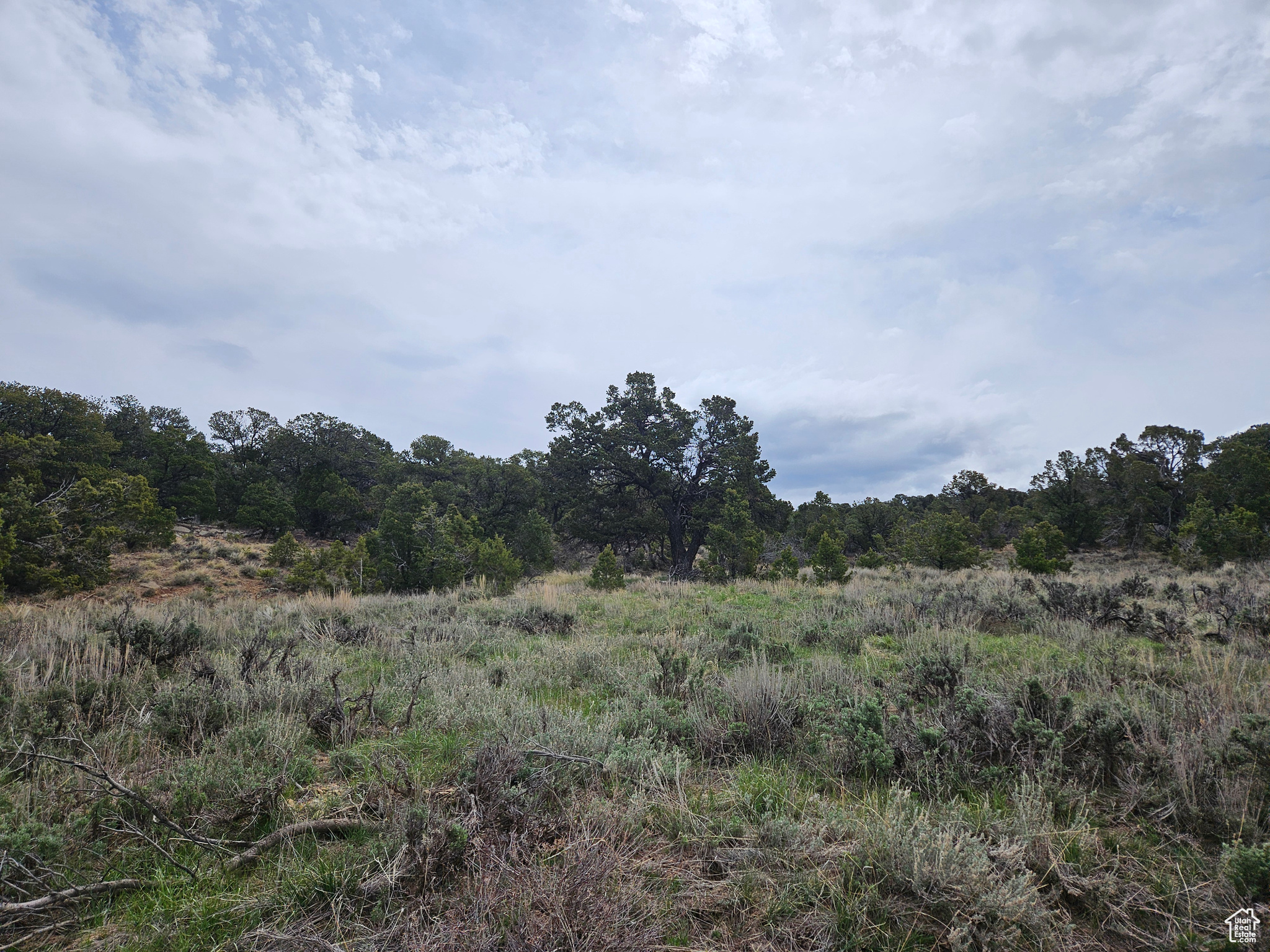 RIM ROCK RANCHES - Land