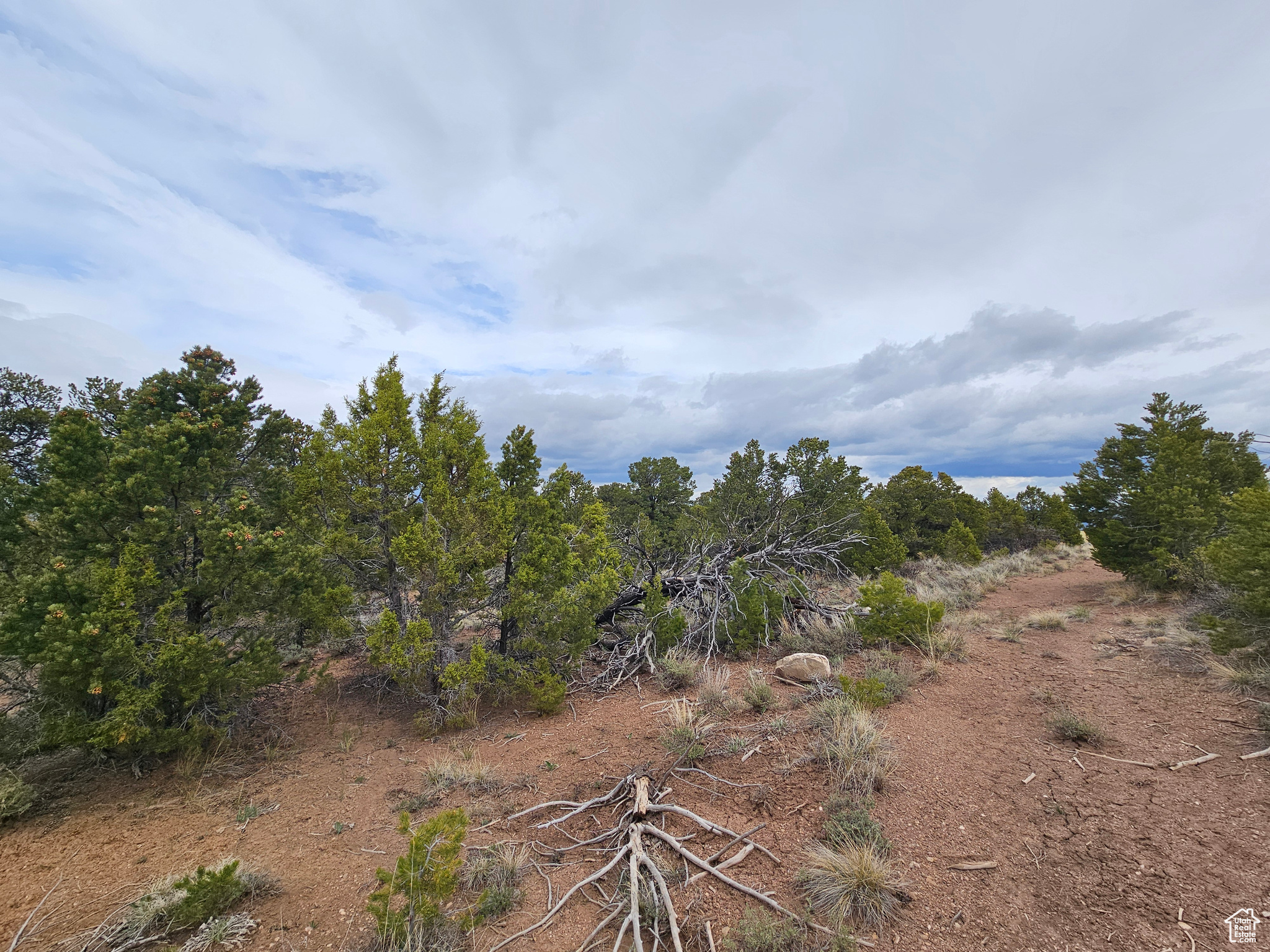 RIM ROCK RANCHES - Land