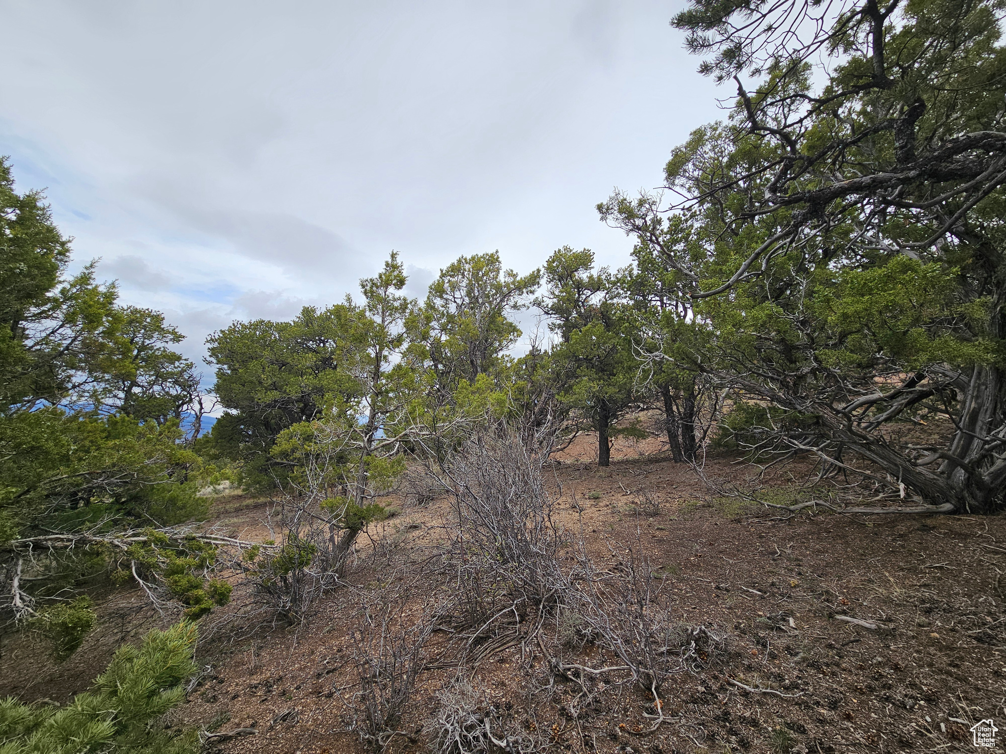 RIM ROCK RANCHES - Land