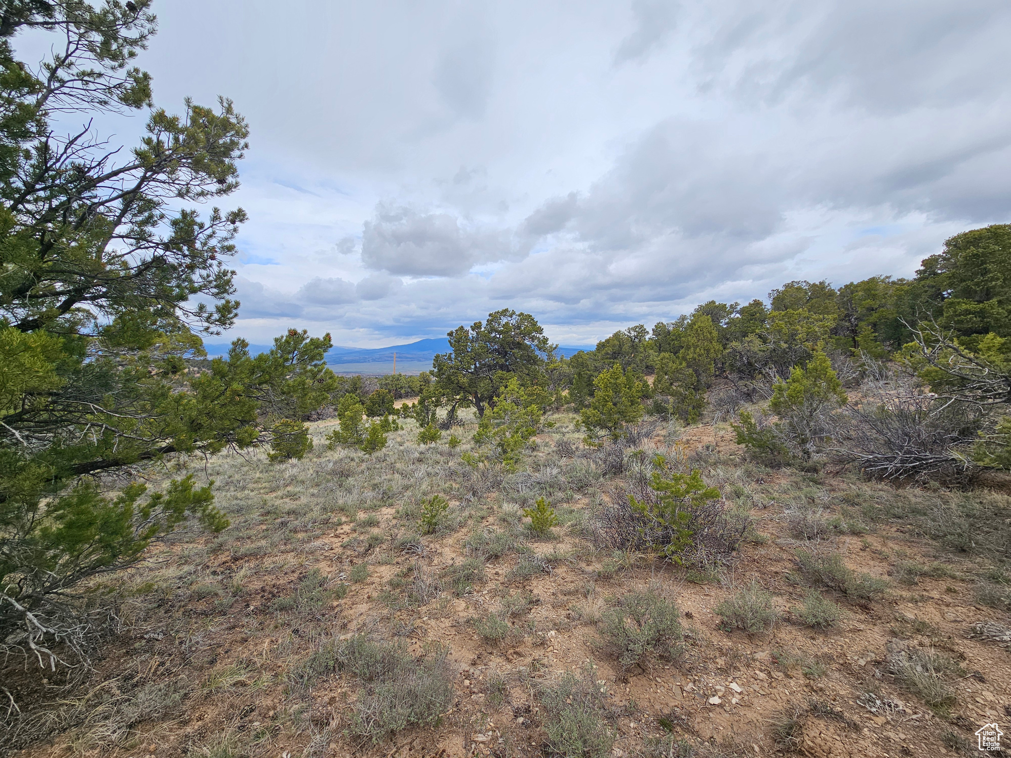 RIM ROCK RANCHES - Land
