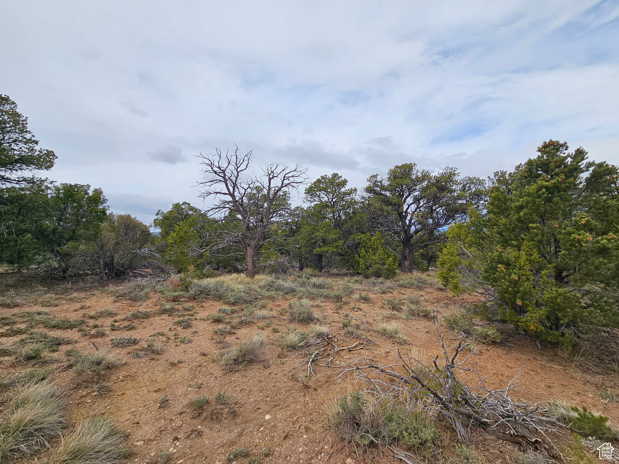 RIM ROCK RANCHES - Land