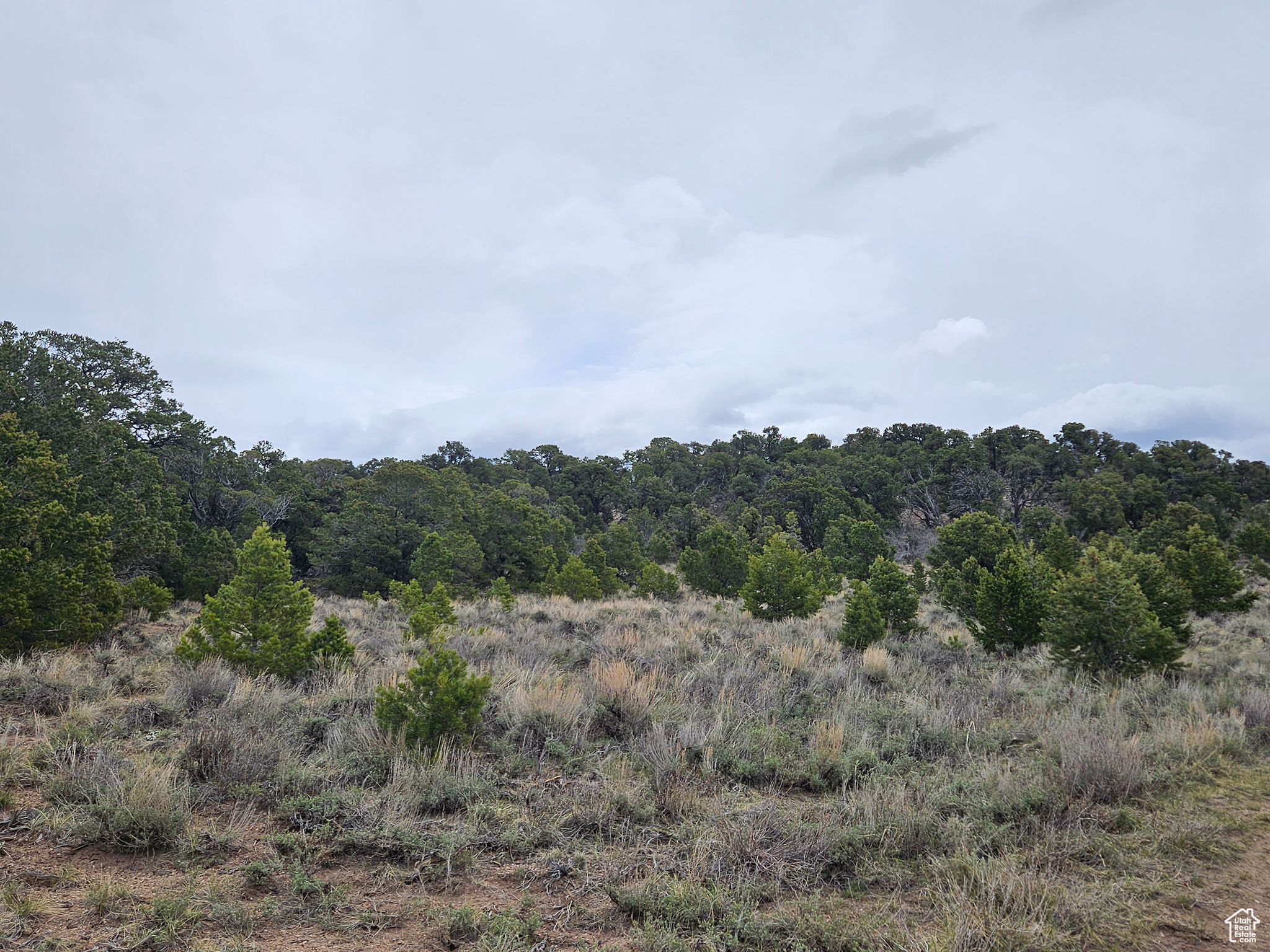 RIM ROCK RANCHES - Land