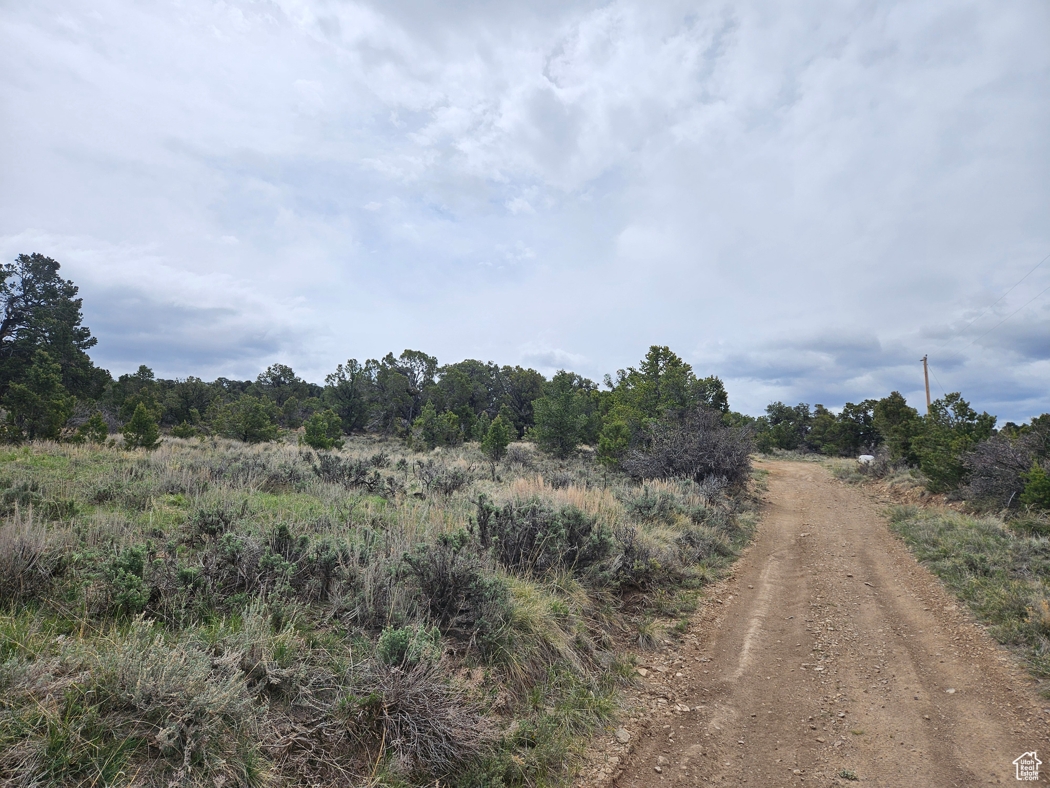 RIM ROCK RANCHES - Land