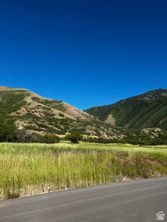 Paved road bordering an expanse of natural green grasses with distant mountainous terrain