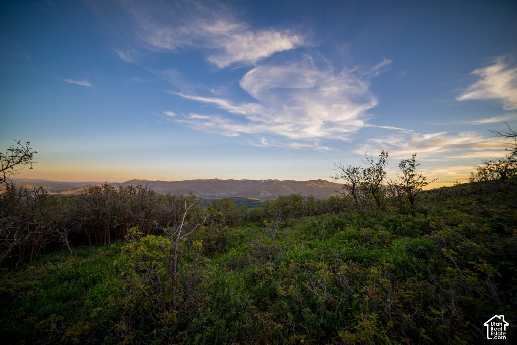 Photo of 10000 N KIMBALL CANYON RD #21, Park City, UT 84098 (MLS # 2191695)