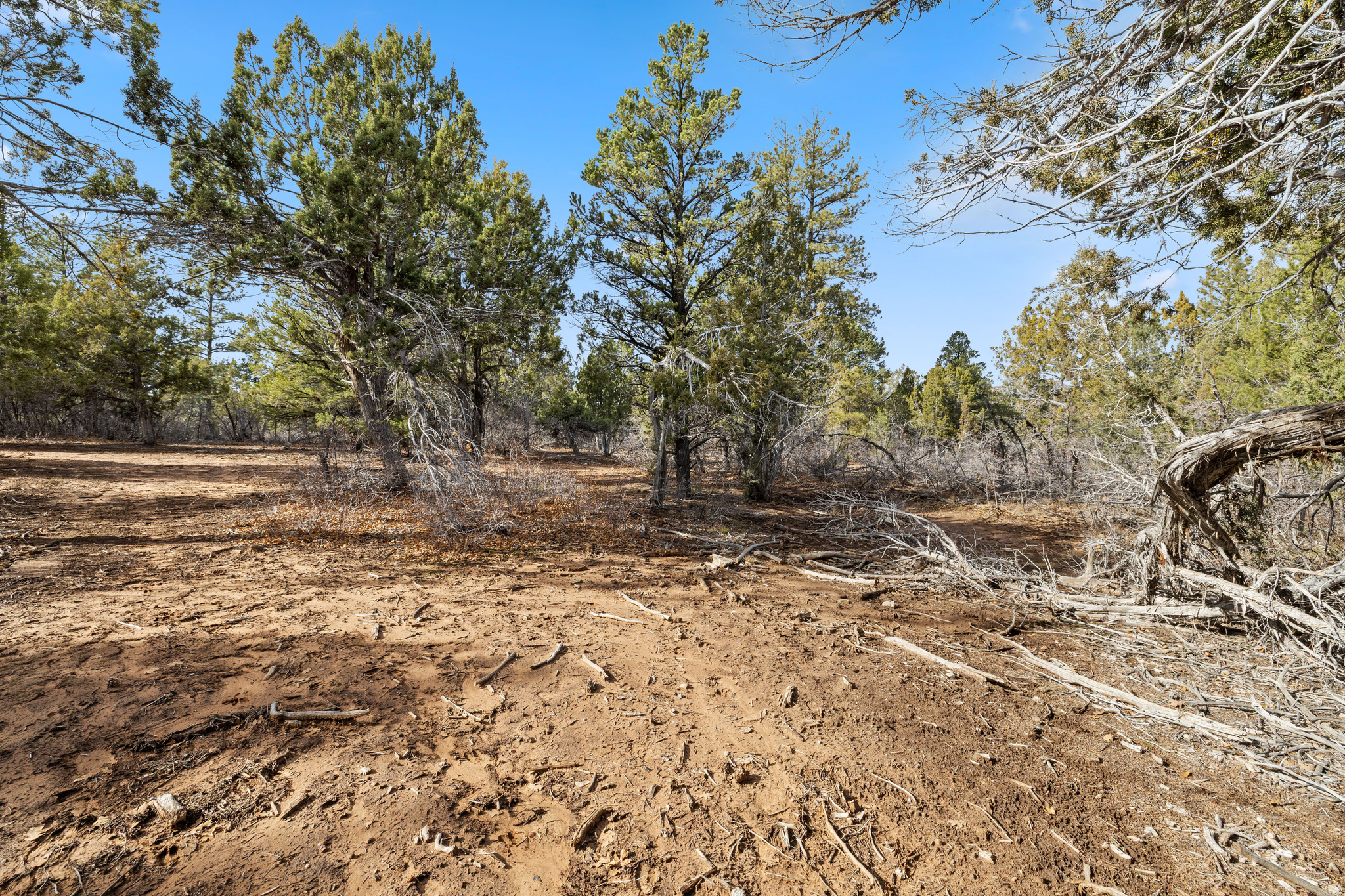 LITTLE PONDEROSA - Land