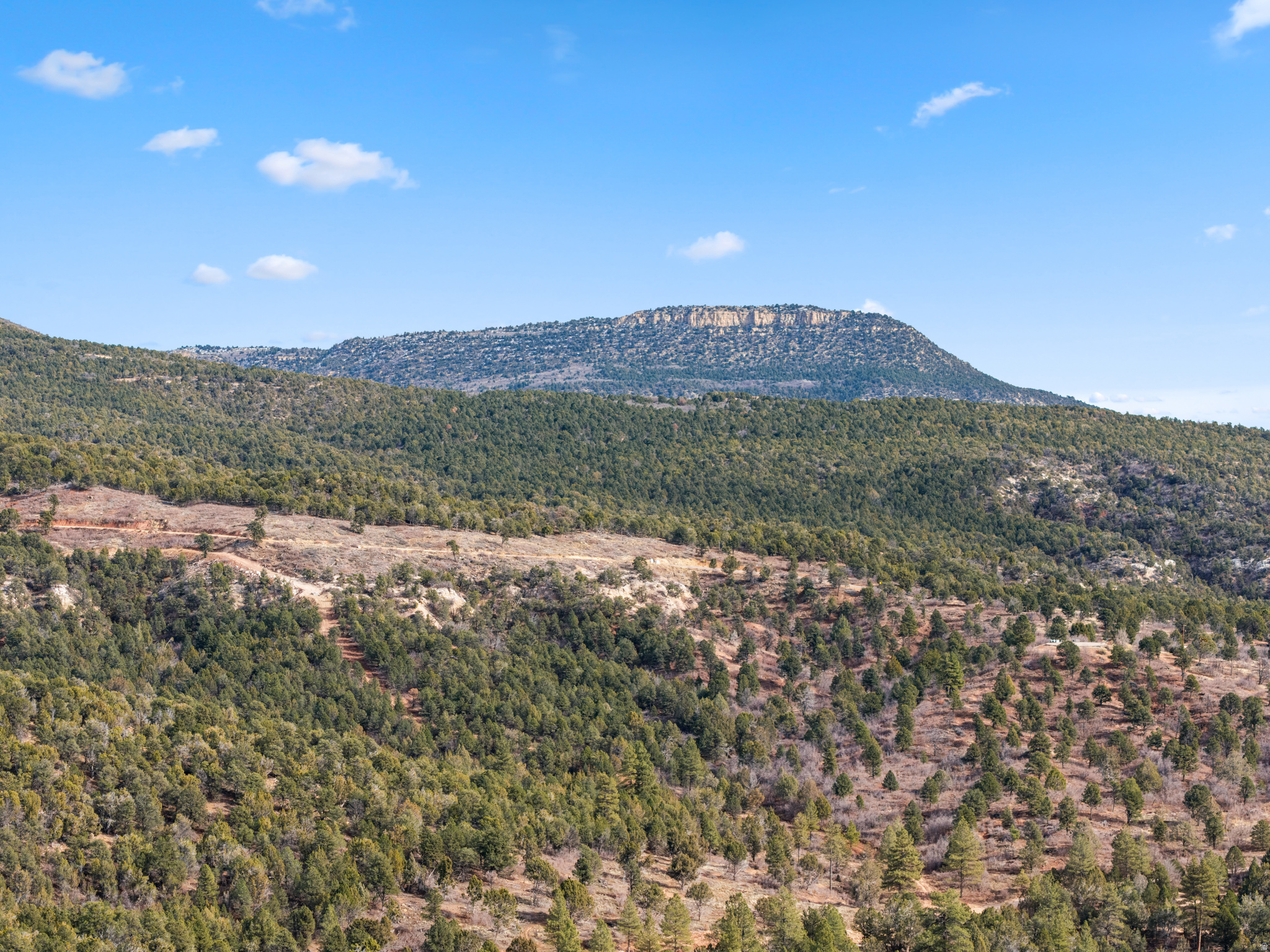 LITTLE PONDEROSA - Land