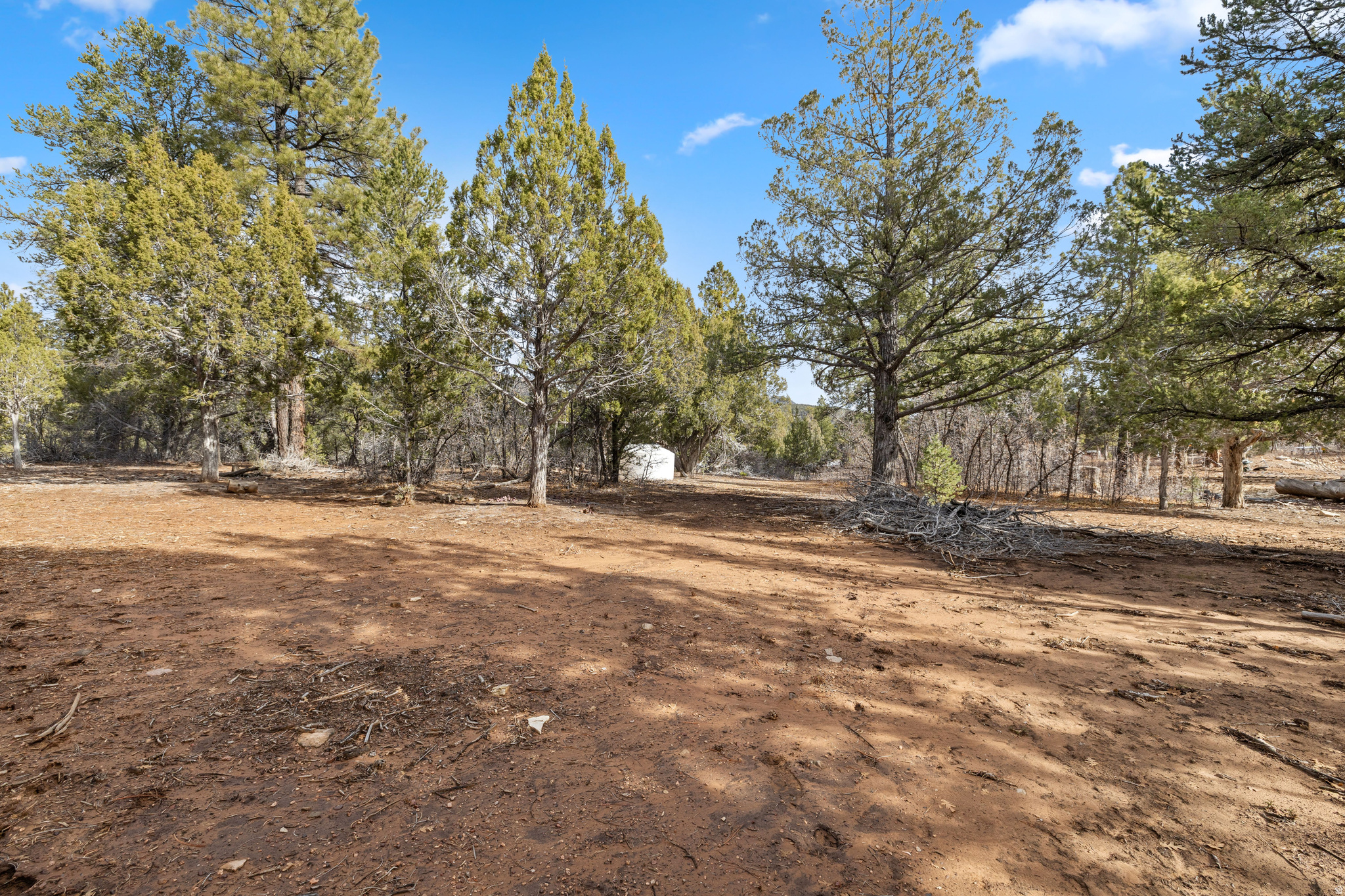 LITTLE PONDEROSA - Land