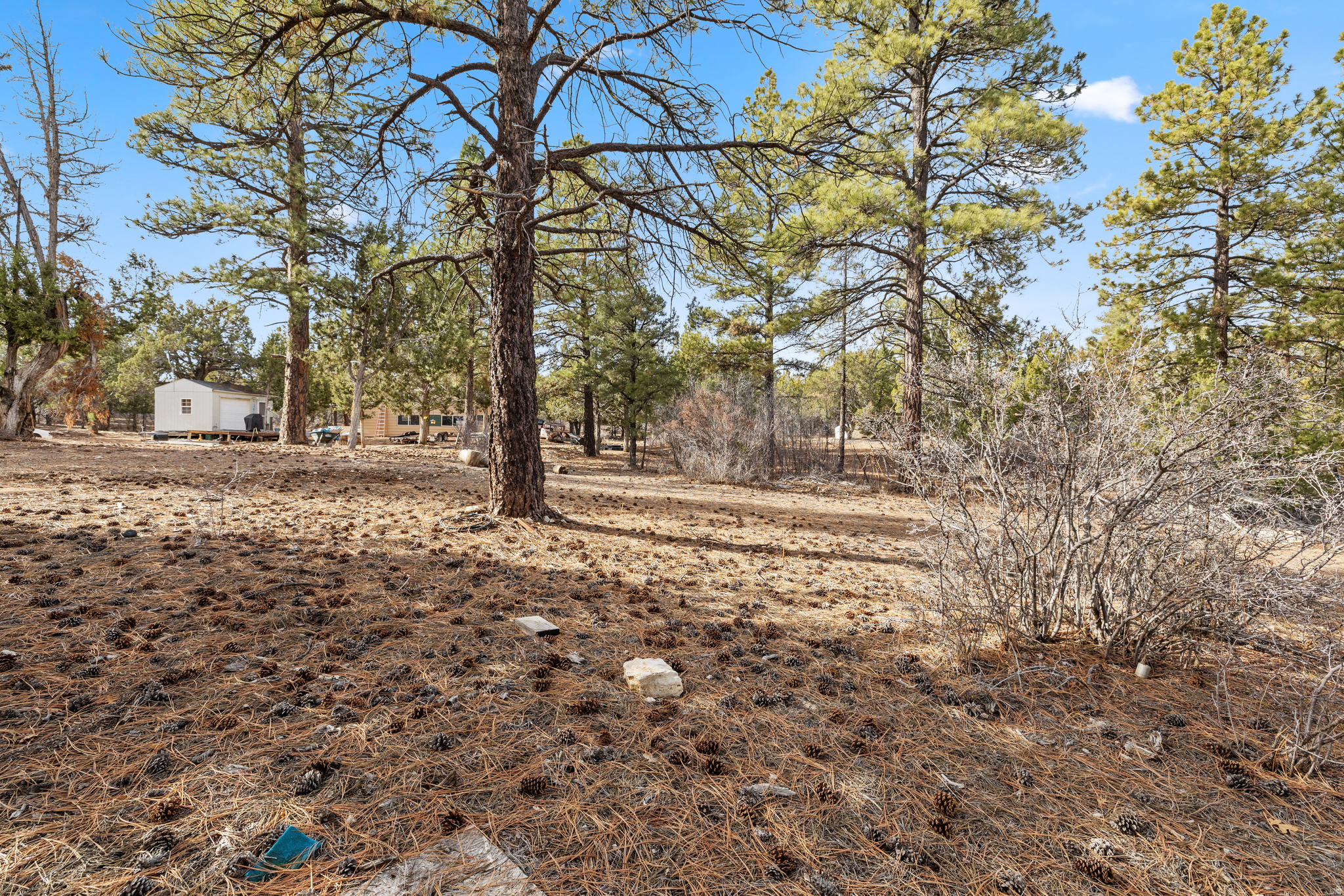 LITTLE PONDEROSA - Land