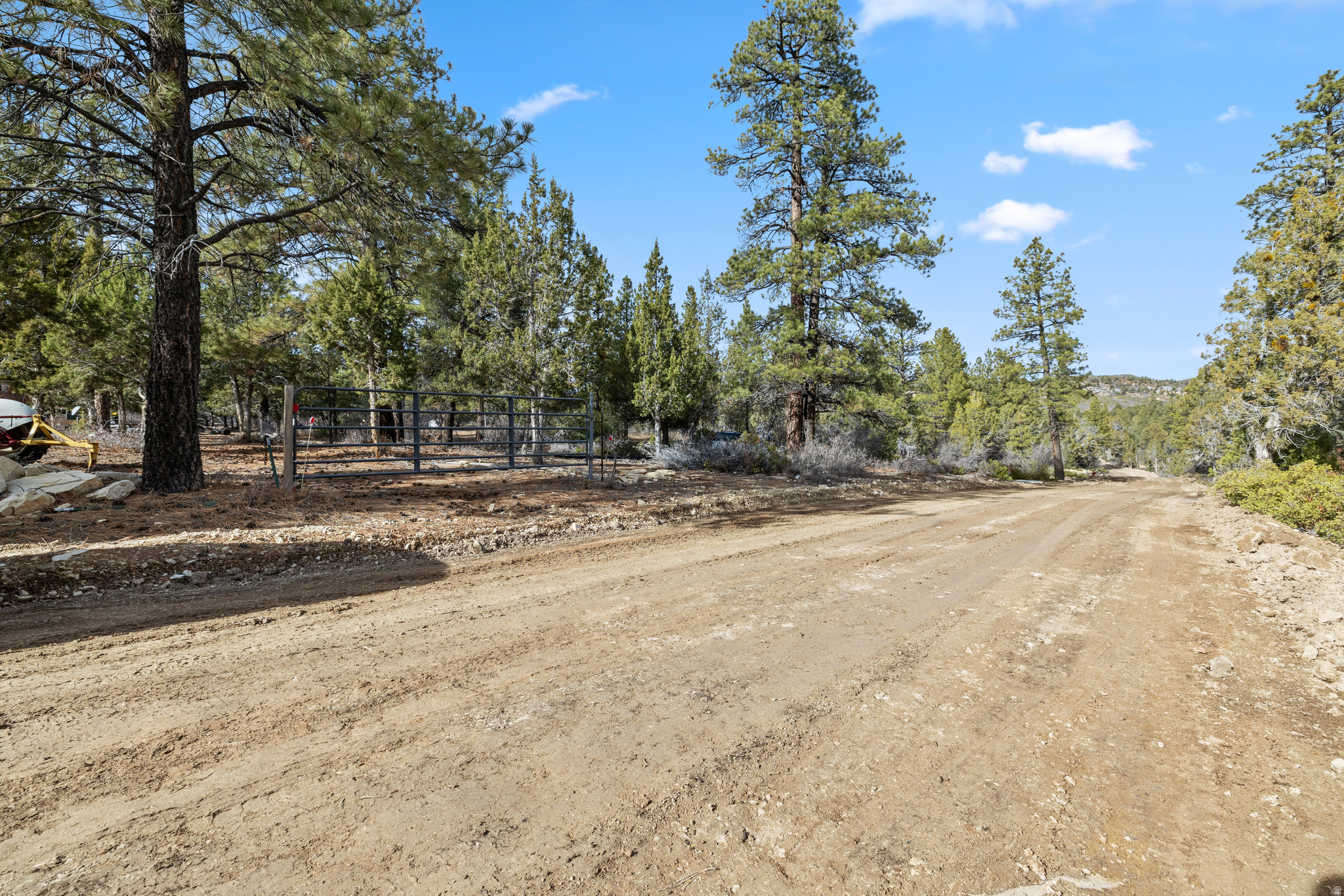 LITTLE PONDEROSA - Land