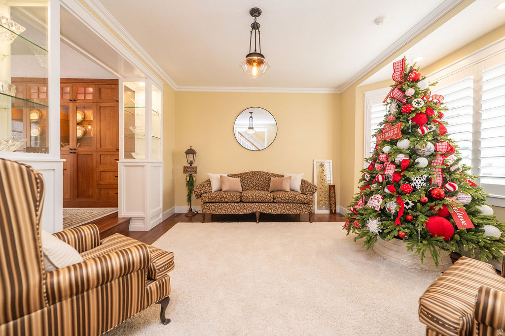 MOUNTAIN VIEW EST - Residential