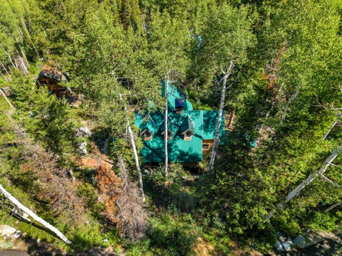 Tiny photo for 11320 E BALSAM FOREST LN, Brighton, UT 84121 (MLS # 2181658)
