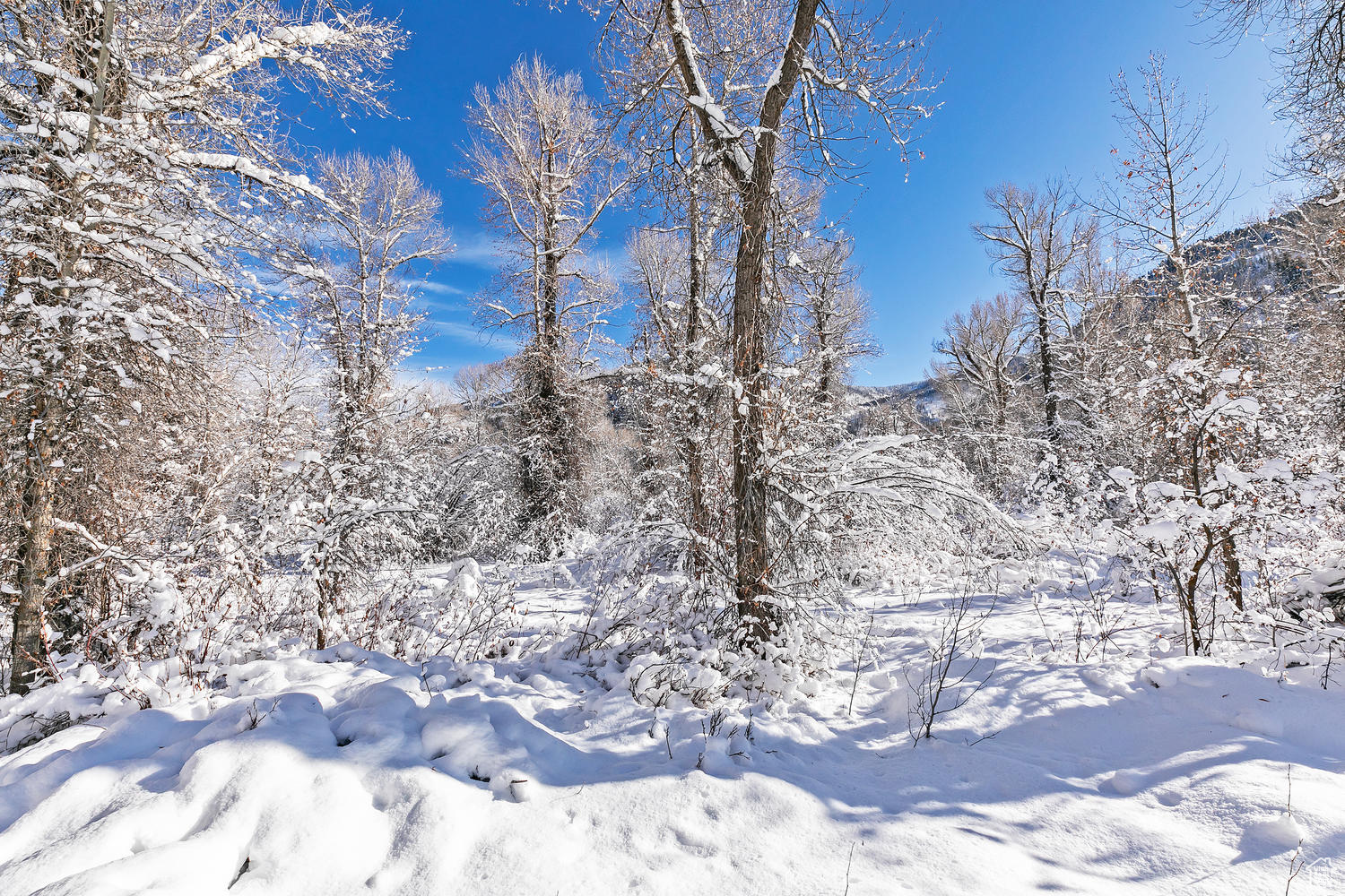 2600 E Weber Canyon Rd, Oakley, Utah image 17