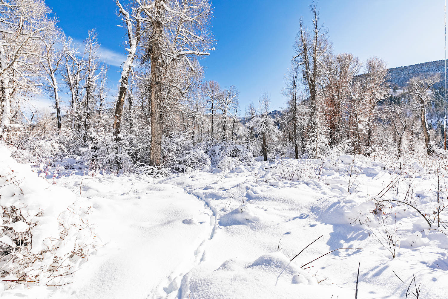 2600 E Weber Canyon Rd, Oakley, Utah image 14