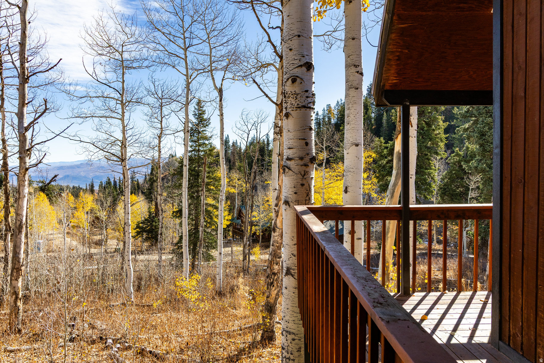 PINE MEADOW RANCH - Residential