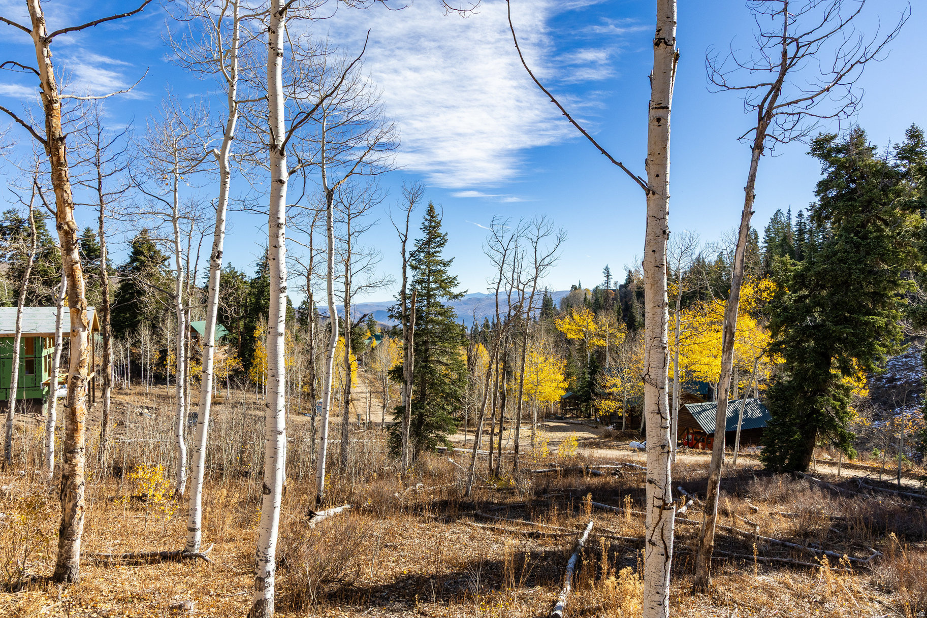 PINE MEADOW RANCH - Residential
