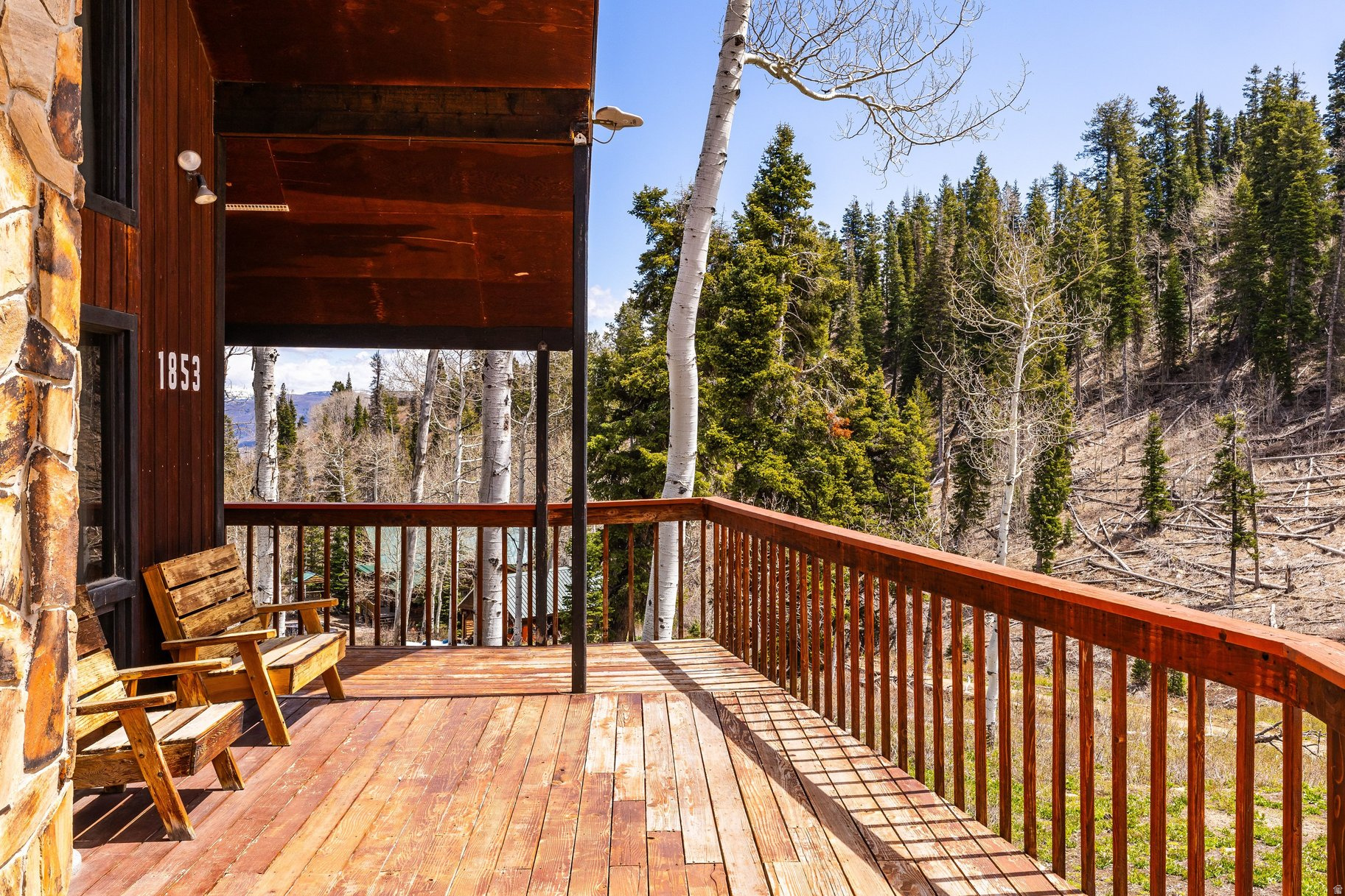 PINE MEADOW RANCH - Residential