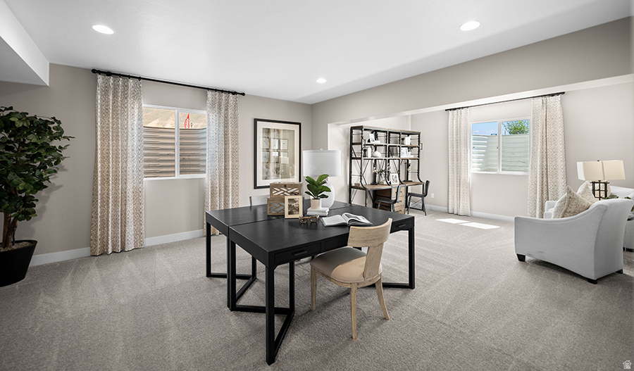 CANYON VIEW MEADOWS - Residential