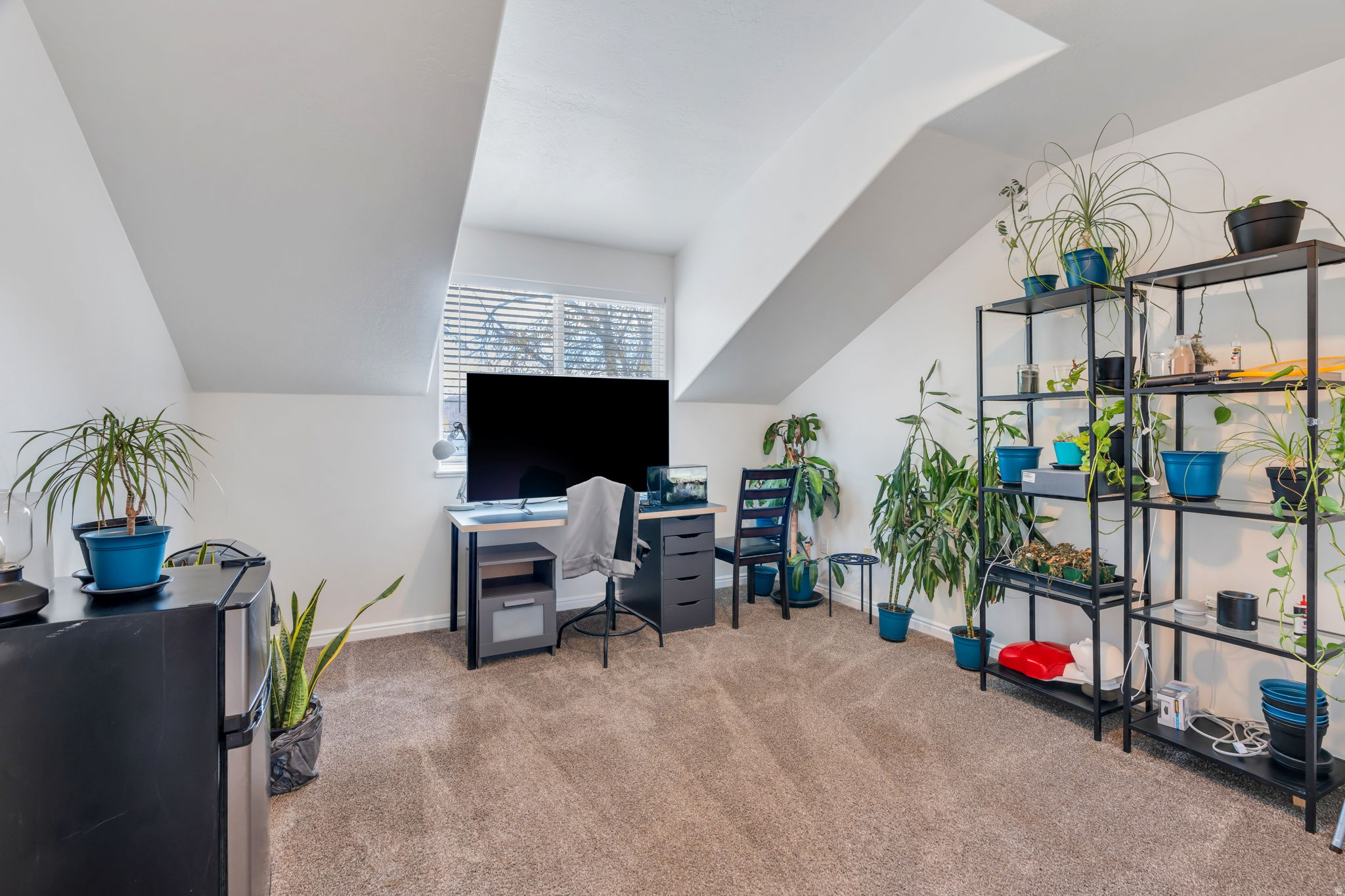 WILLOWS - Residential