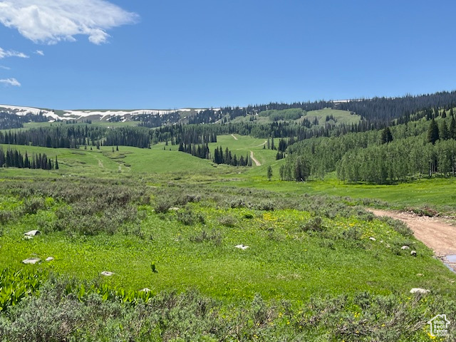 Land, Heber City, Utah image 18