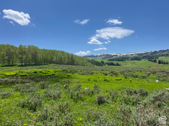 Land, Heber City, Utah image 2