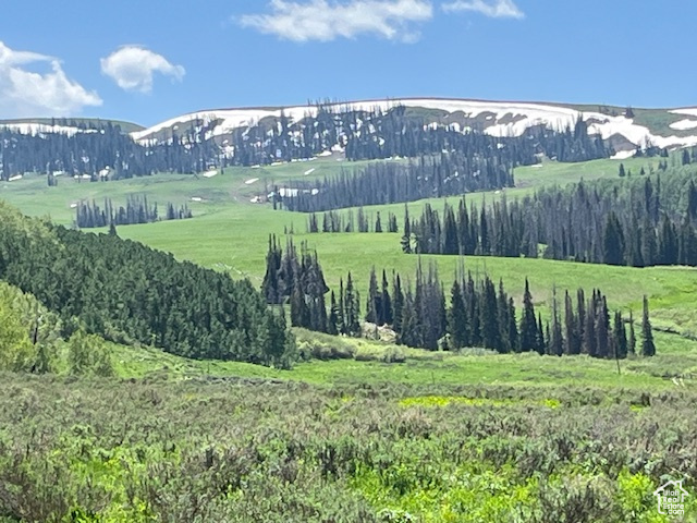 Land, Heber City, Utah image 15