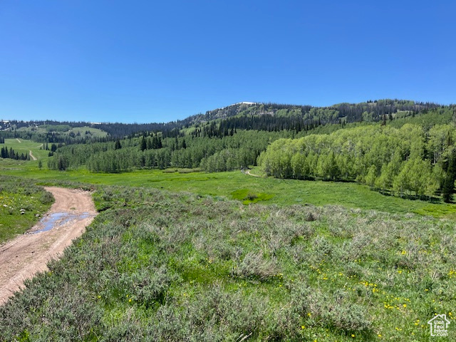 Land, Heber City, Utah image 8