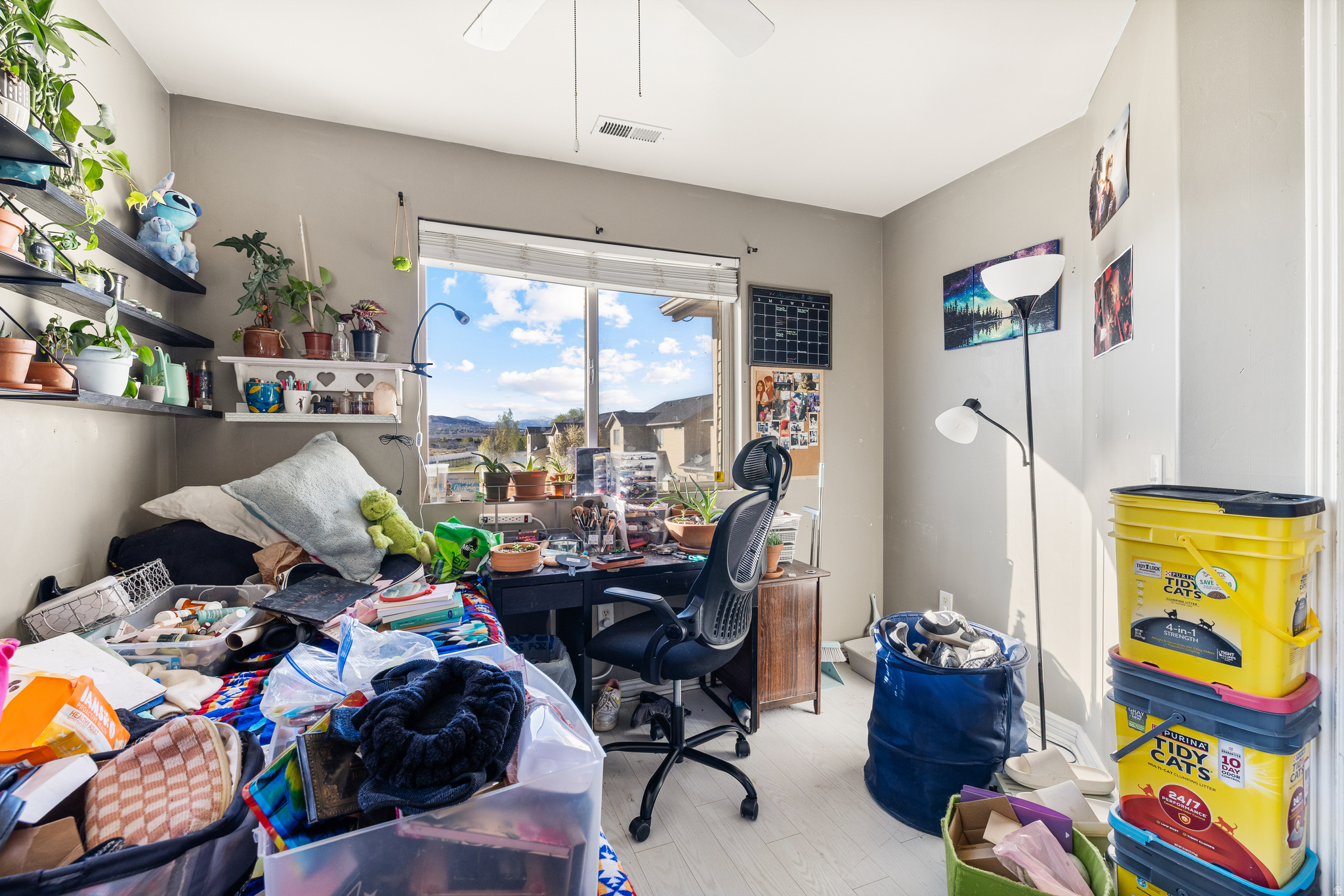 POINTE MEADOWS PHASE X - Residential