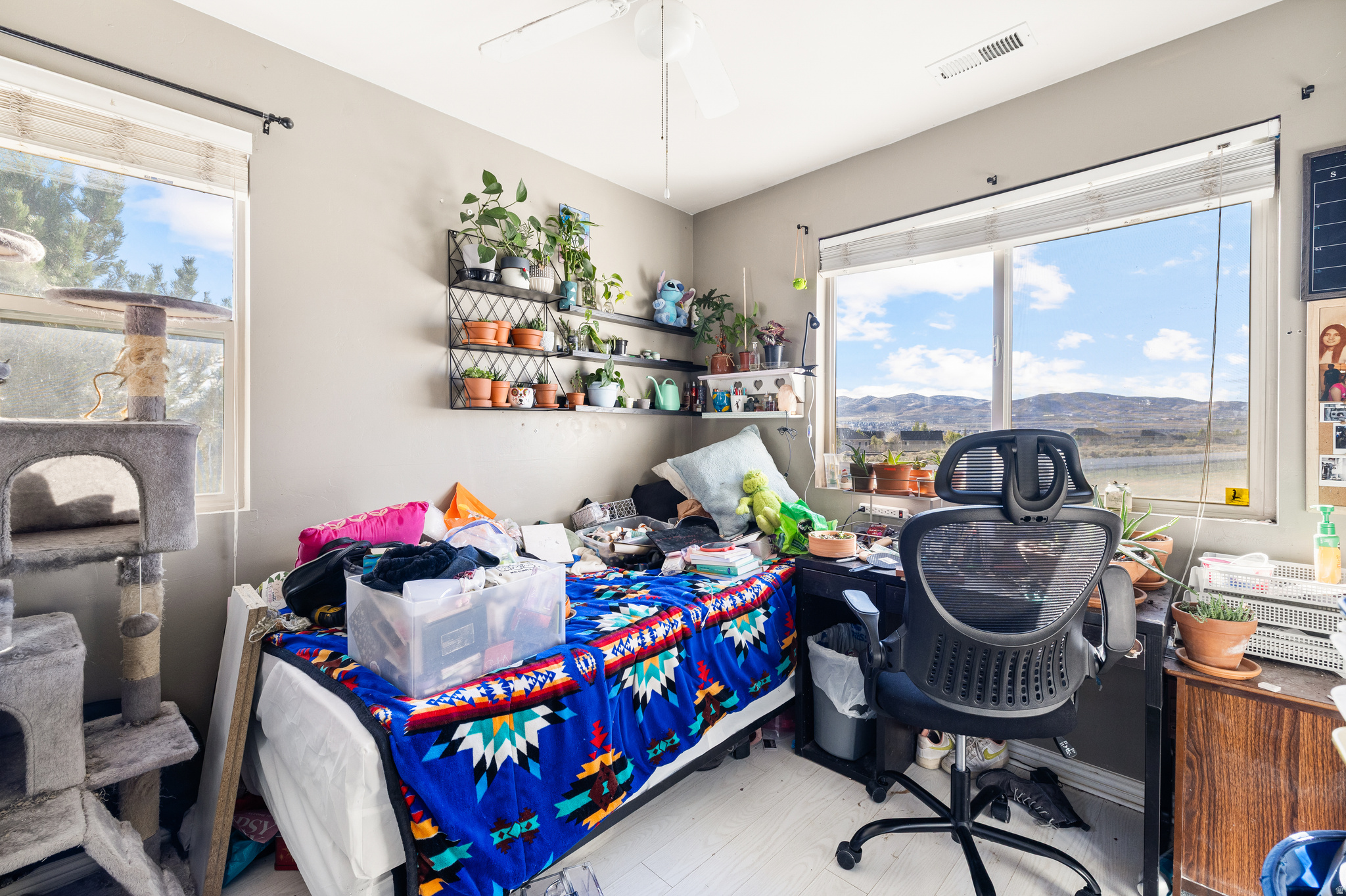 POINTE MEADOWS PHASE X - Residential