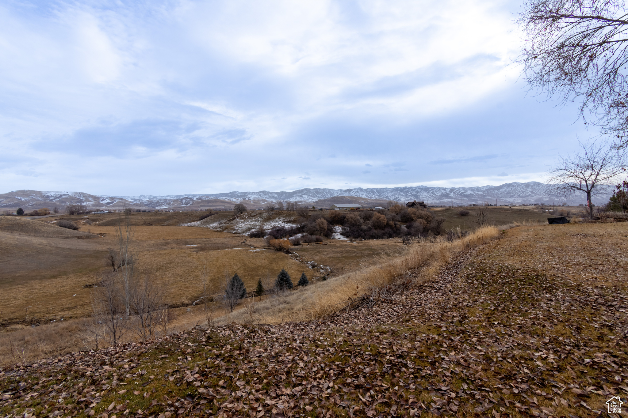 650 E 145, Preston, Idaho image 33
