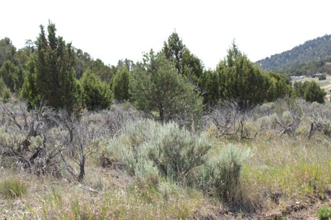 Photo of #21 B, Fairview, UT 84629 (MLS # 2167459)
