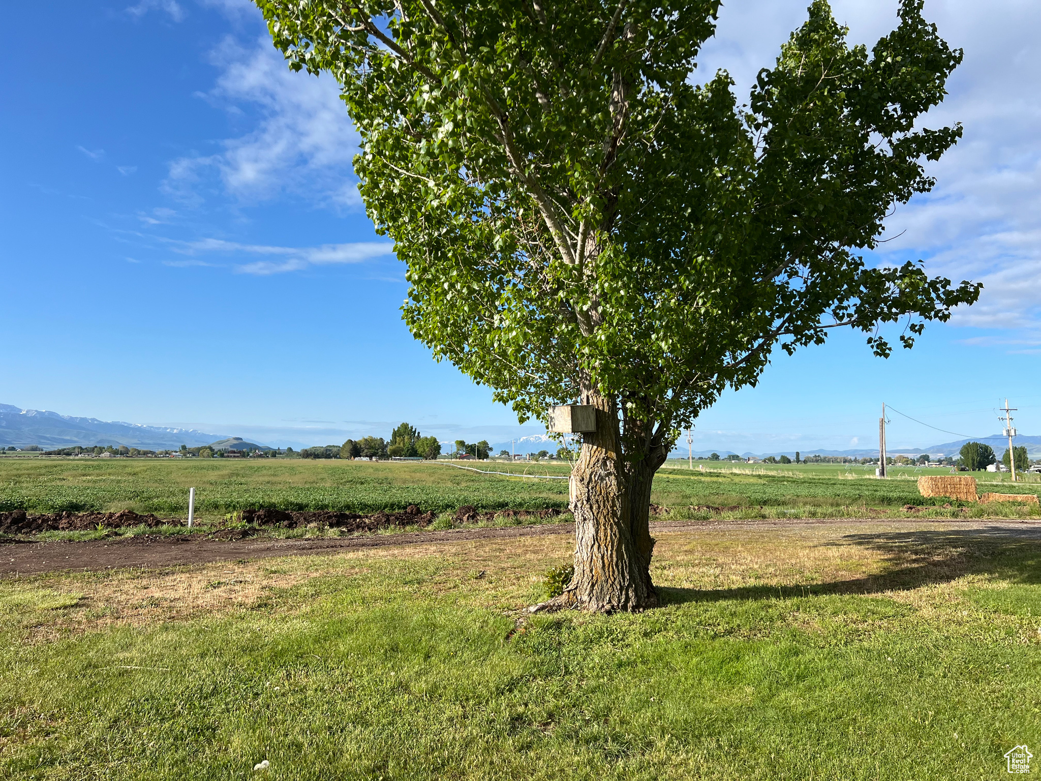 662 N 1600, Preston, Idaho image 20