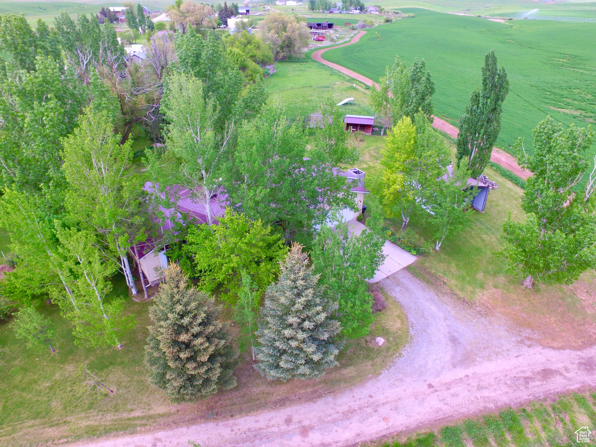 662 N 1600, Preston, Idaho image 31