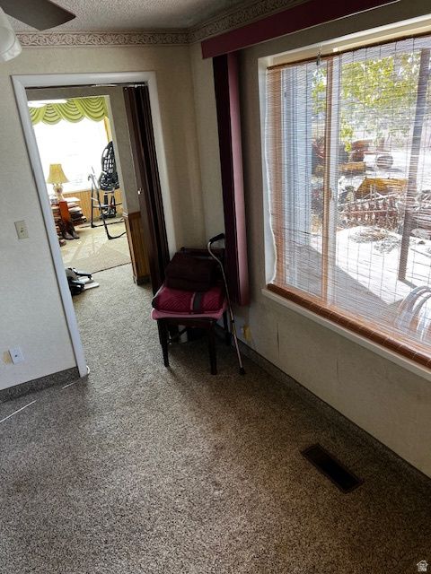 Tiny photo for 576 N 200 W, Fairview, UT 84629 (MLS # 2120846)