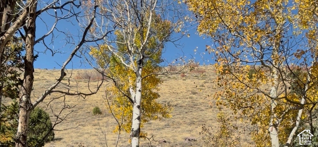 Photo of N MILES CANYON RD #17, Montpelier, ID 83254 (MLS # 2190961)