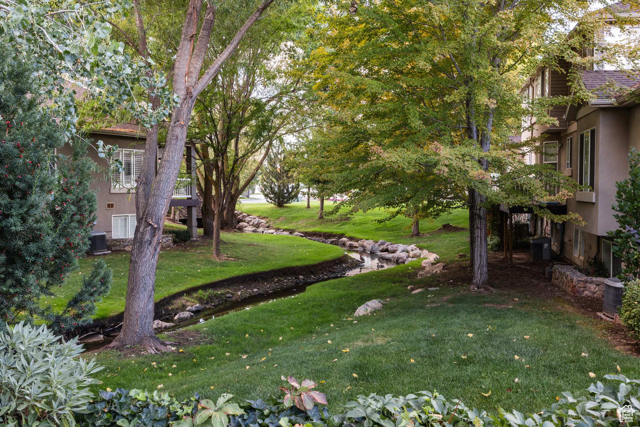 CLEARWATER COVE - Residential