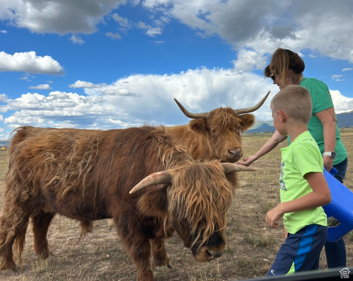 FOX SPRINGS ESTATES - Land