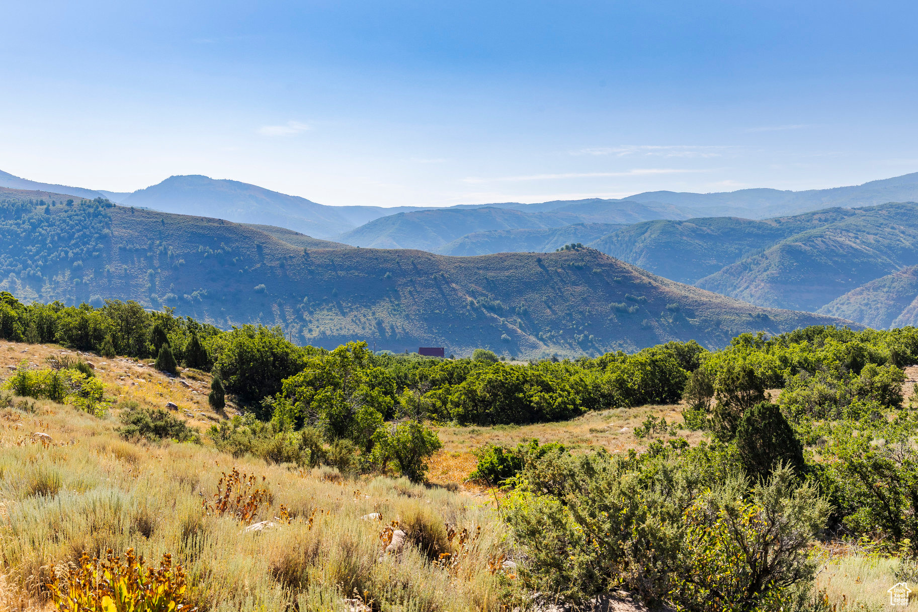 EVERGREEN PARK - Land