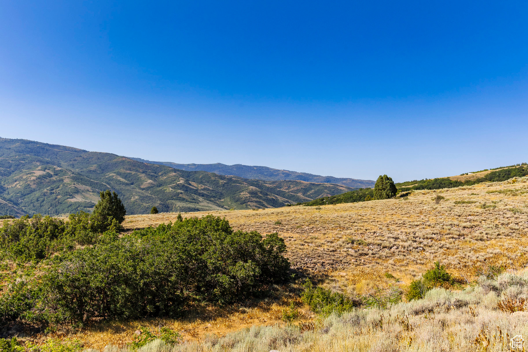 EVERGREEN PARK - Land