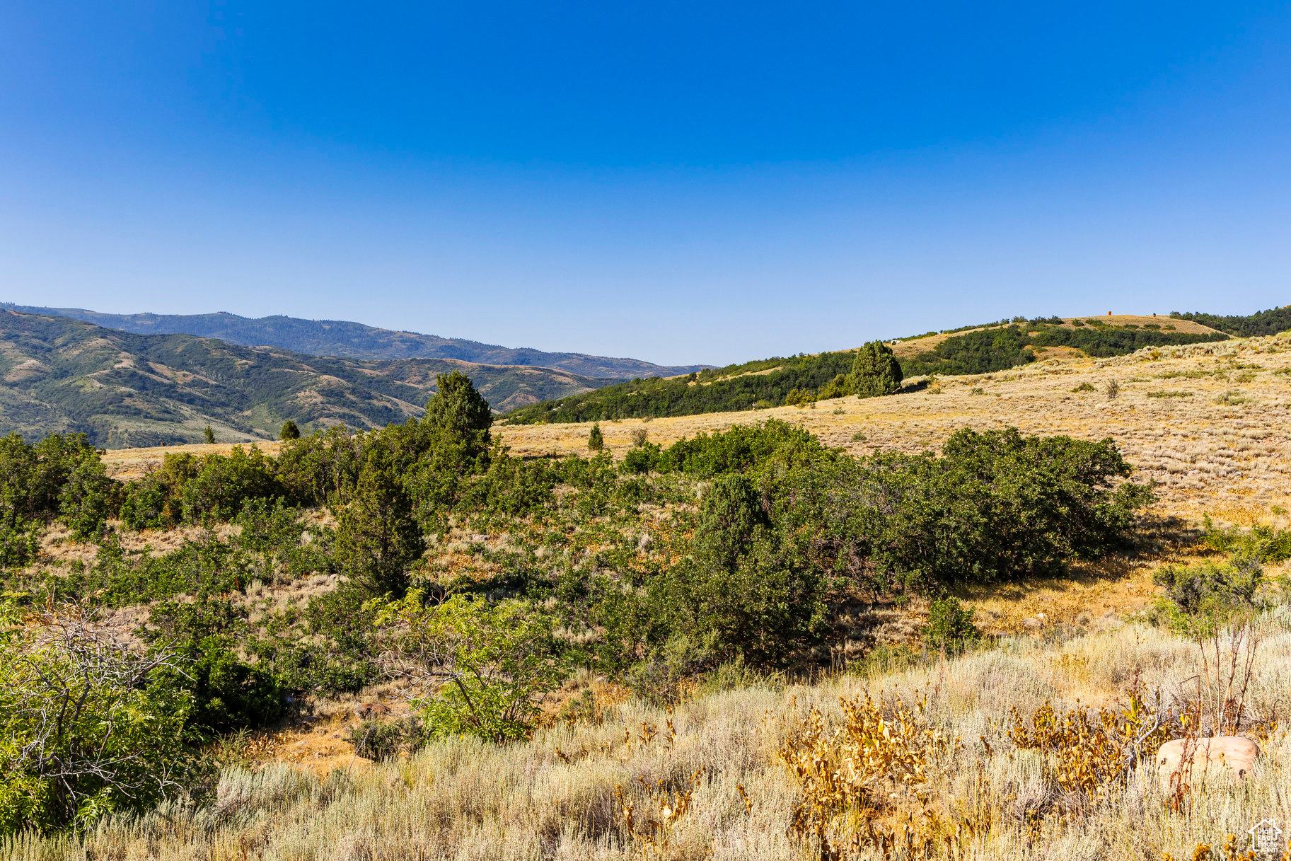 EVERGREEN PARK - Land