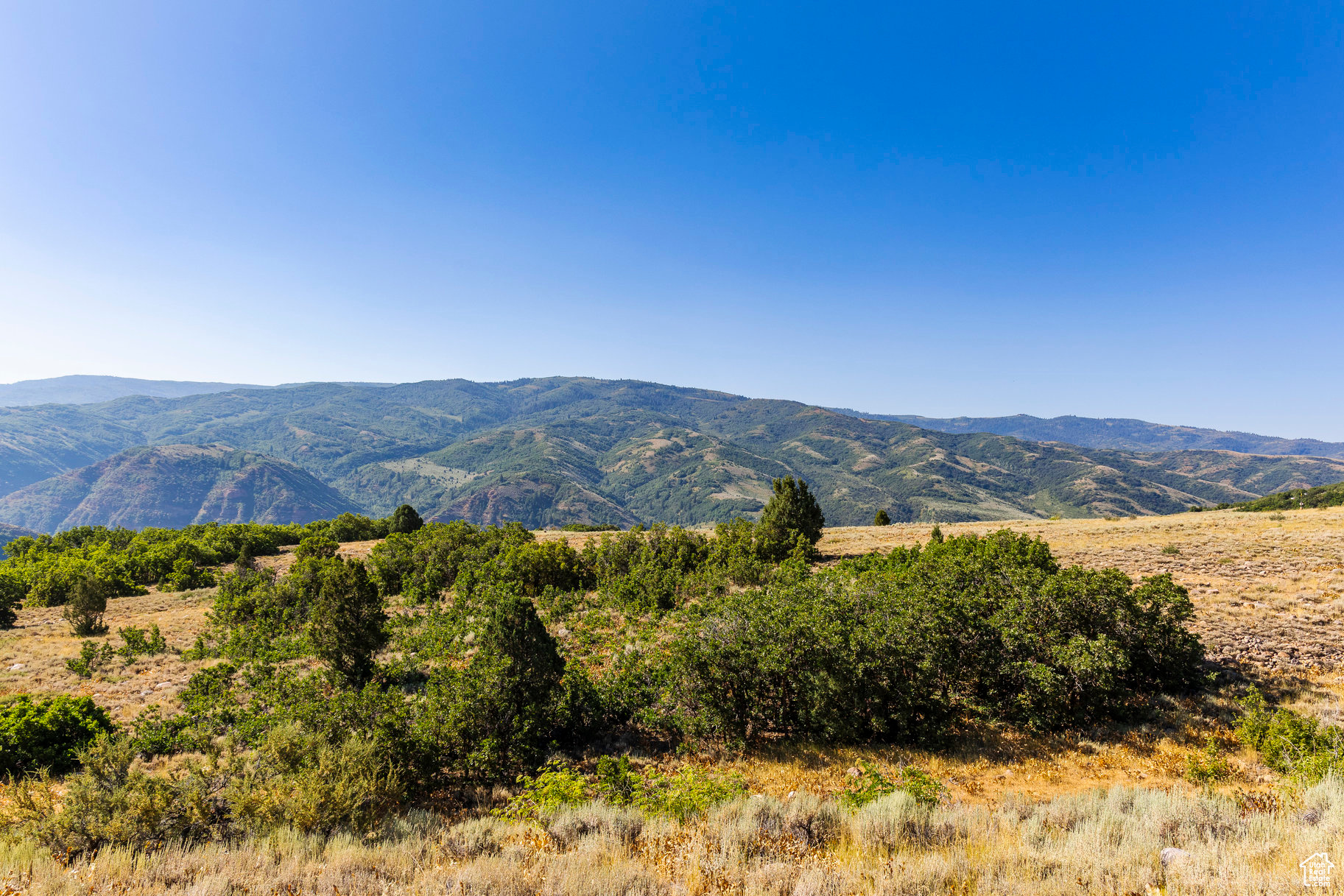 EVERGREEN PARK - Land