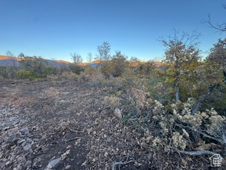 UPPER WHITTEMORE - Land