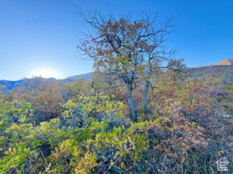 Tiny photo for 10 E SPRING MOUNTAIN DR #10, Springville, UT 84663 (MLS # 2085956)