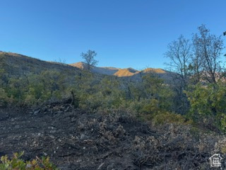 UPPER WHITTEMORE - Land