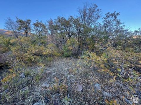Tiny photo for 10 E SPRING MOUNTAIN DR #10, Springville, UT 84663 (MLS # 2085956)